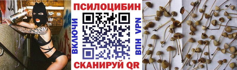 KRAKEN tor  Гаврилов-Ям  Галлюциногенные грибы мицелий 