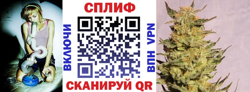 где найти наркотики  Гаврилов-Ям  Бошки Шишки индика 
